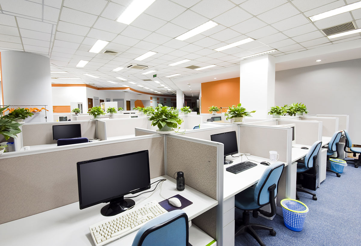 office with cubicles